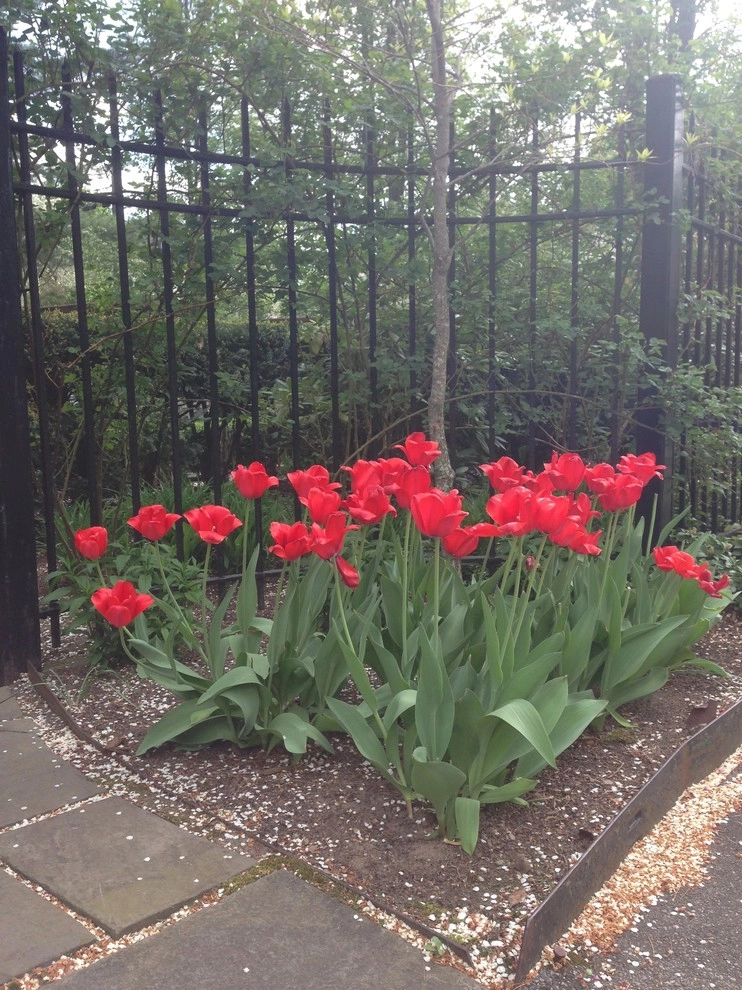 Spring Flowers by City & Estate Gardener - Photo 5