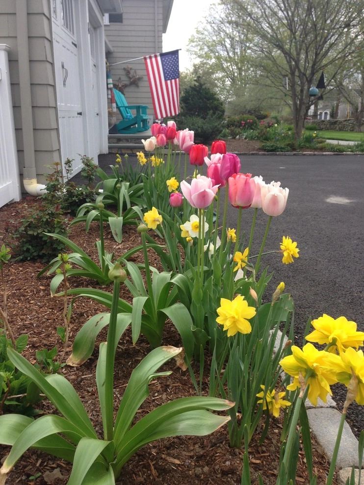 Spring Flowers by City & Estate Gardener - Photo 9