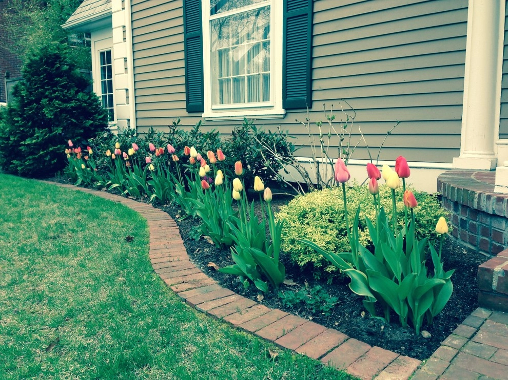 Spring Flowers by City & Estate Gardener - Photo 13