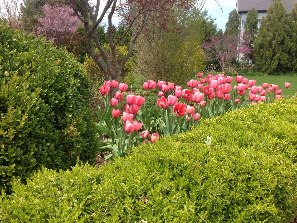 Spring Flowers by City & Estate Gardener - Photo 15