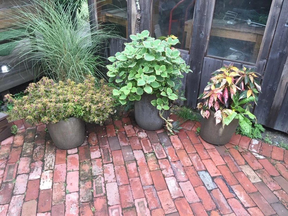 Container Gardens by City & Estate Gardener - Photo 5