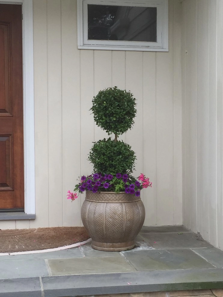 Container Gardens by City & Estate Gardener - Photo 32