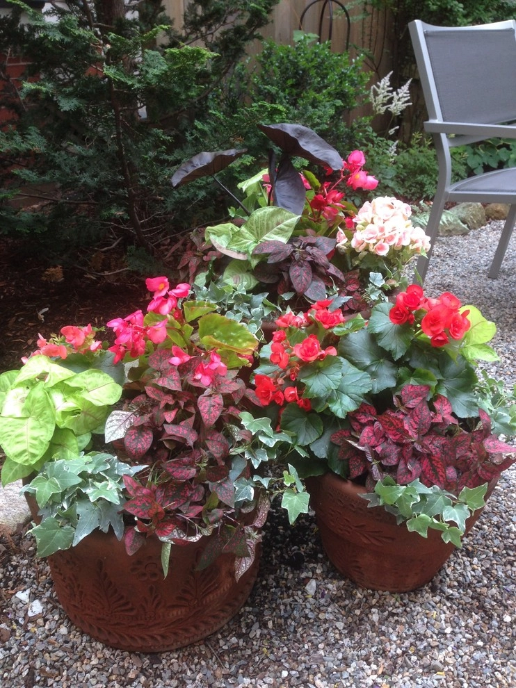 Container Gardens by City & Estate Gardener - Photo 41