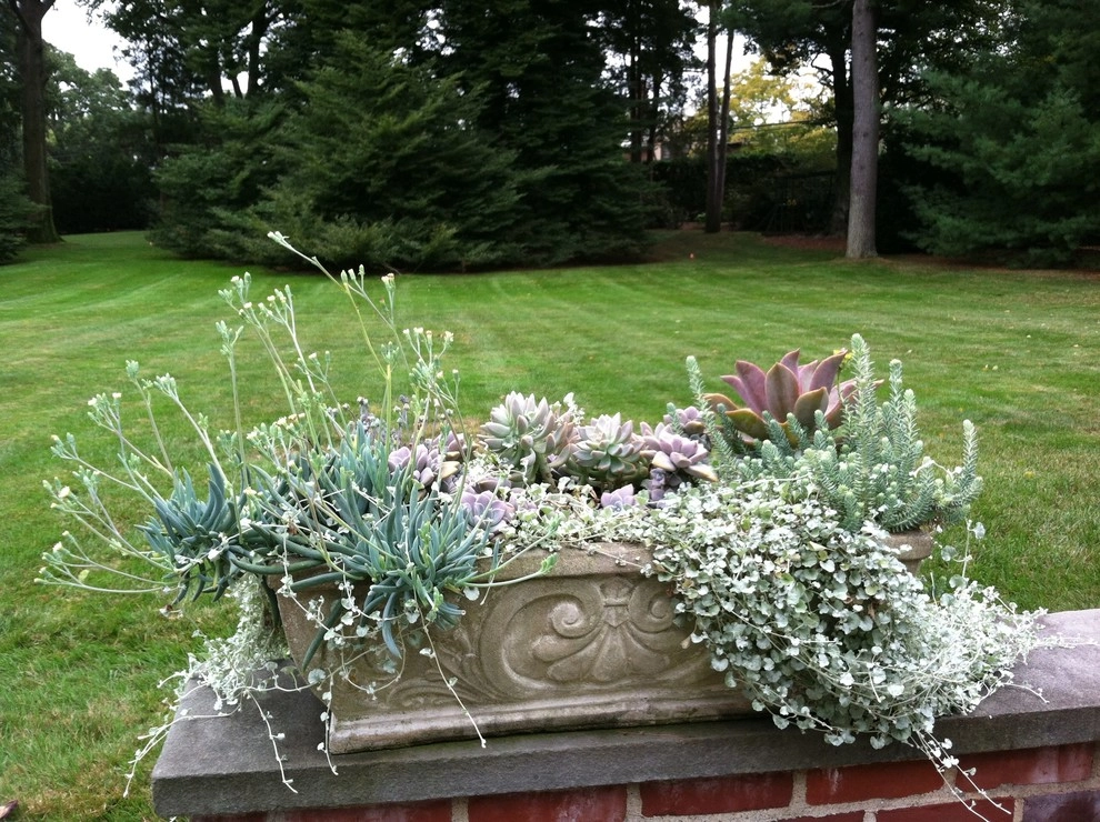 Container Gardens by City & Estate Gardener - Photo 2