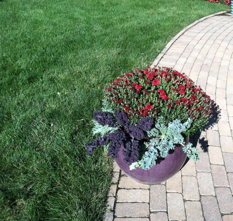 Container Gardens by City & Estate Gardener - Photo 8