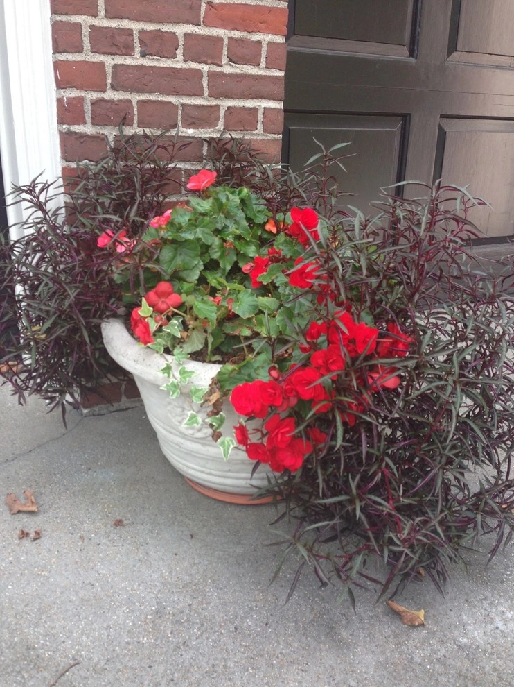 Container Gardens by City & Estate Gardener - Photo 22