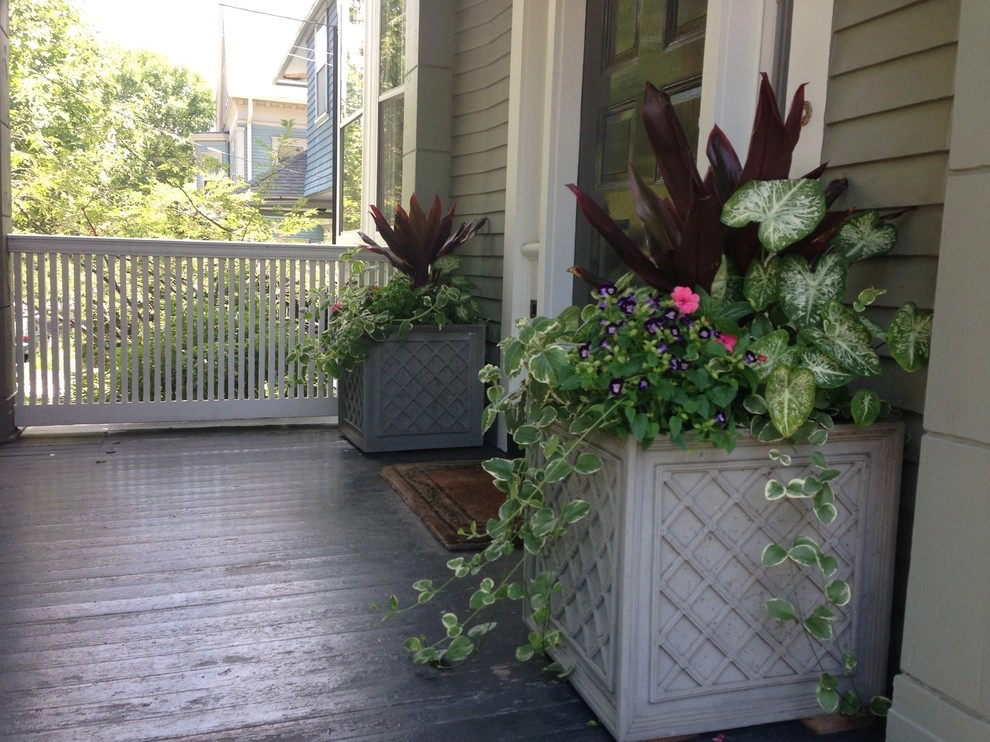 Container Gardens by City & Estate Gardener - Photo 26
