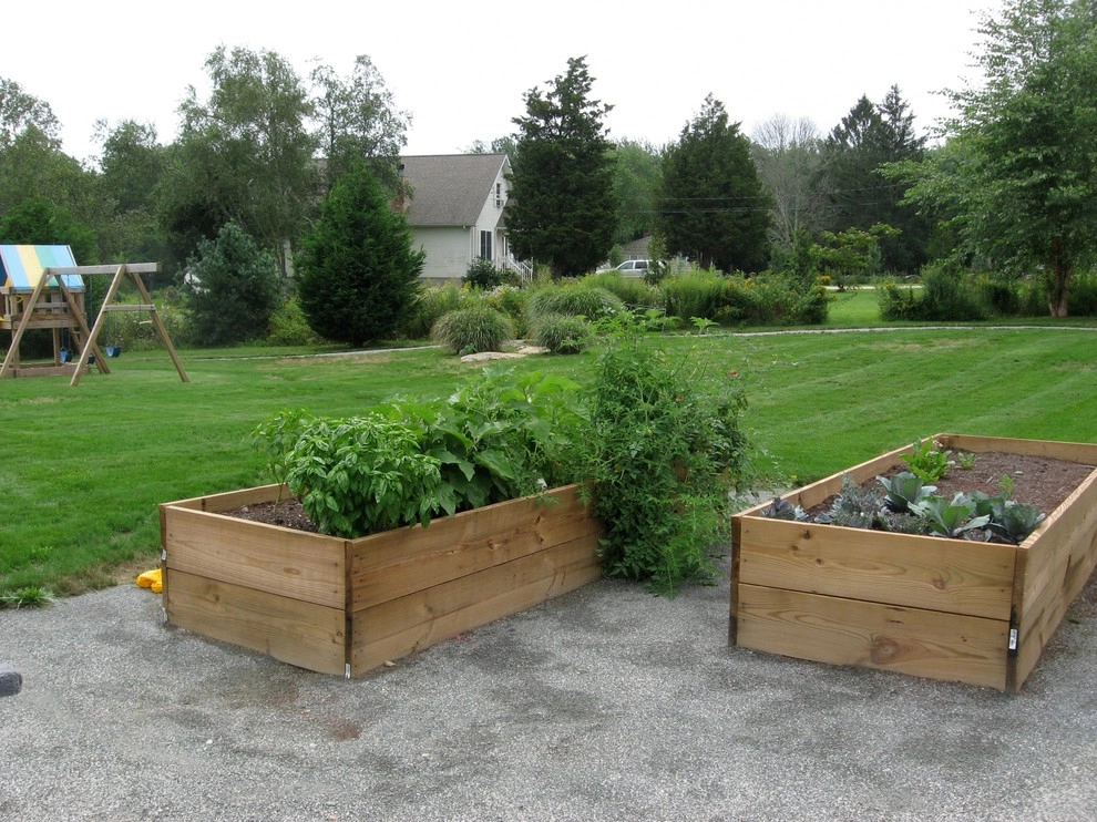 Container Gardens by City & Estate Gardener - Photo 13