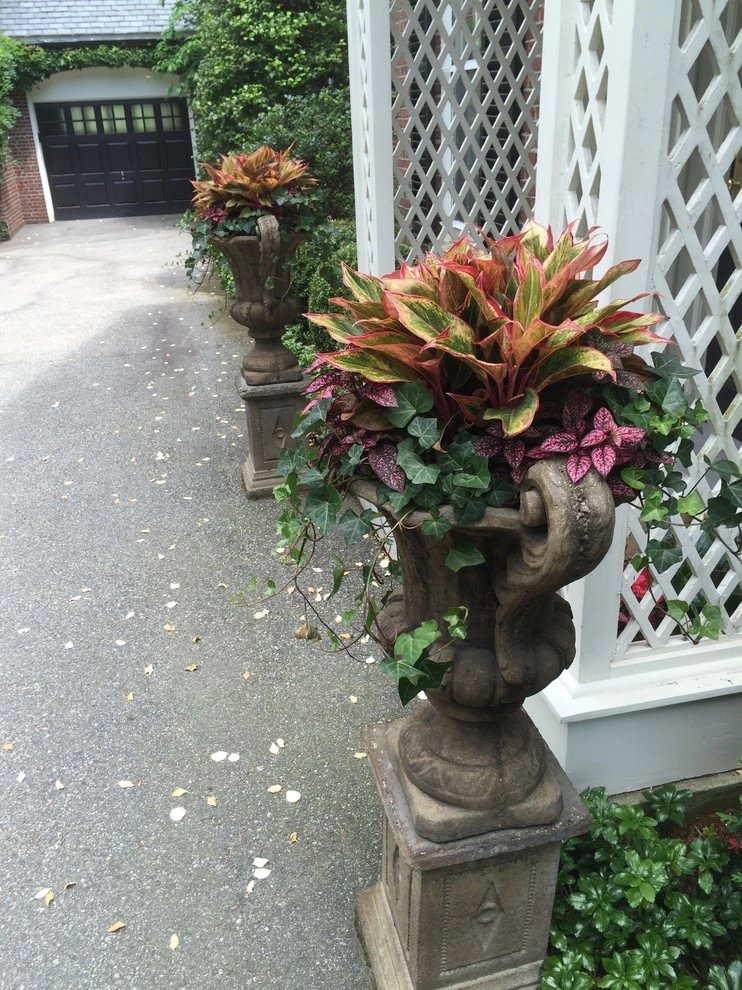 Container Gardens by City & Estate Gardener - Photo 16