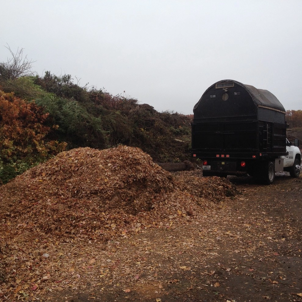 maintenance by City & Estate Gardener - Photo 9