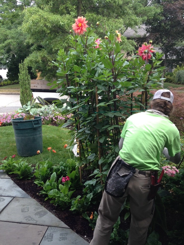 maintenance by City & Estate Gardener - Photo 4