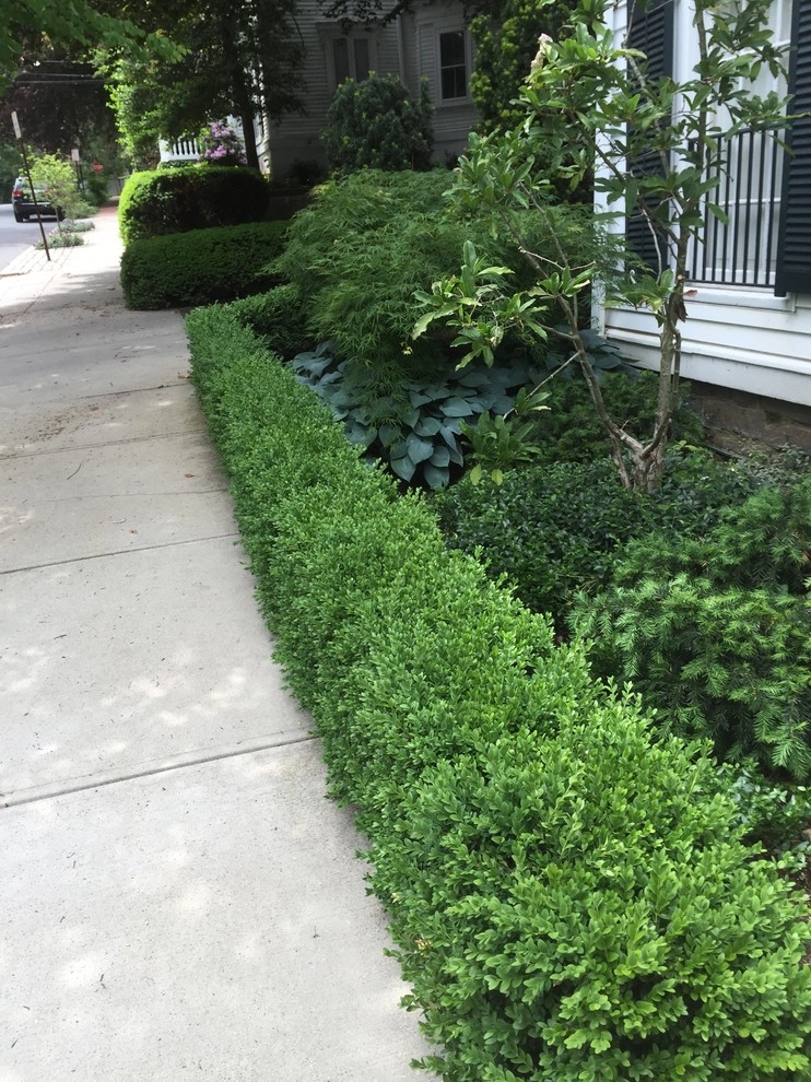 maintenance by City & Estate Gardener - Photo 8