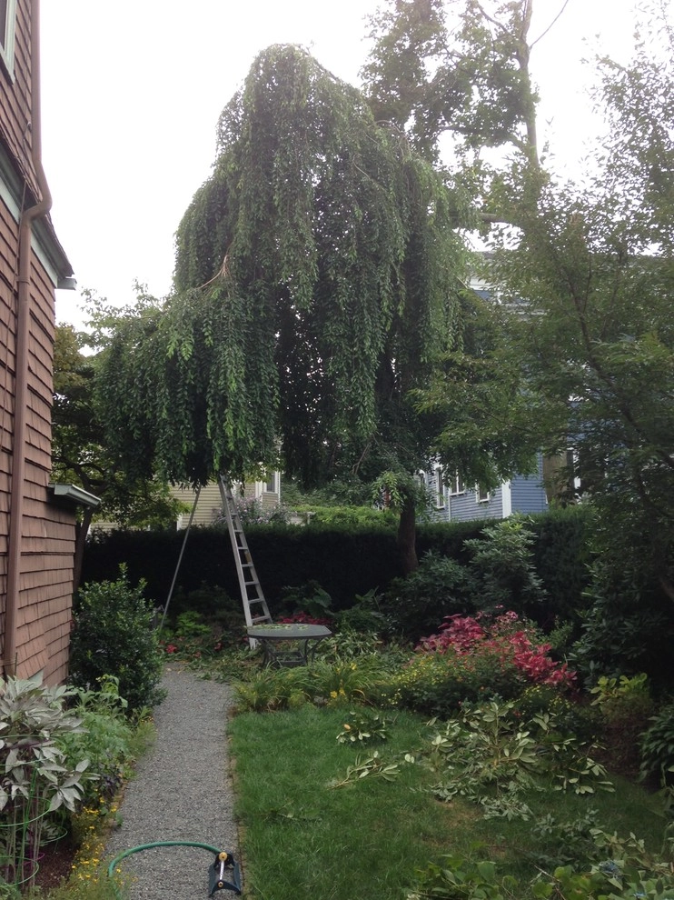 City & Estate Gardener - Photo 14