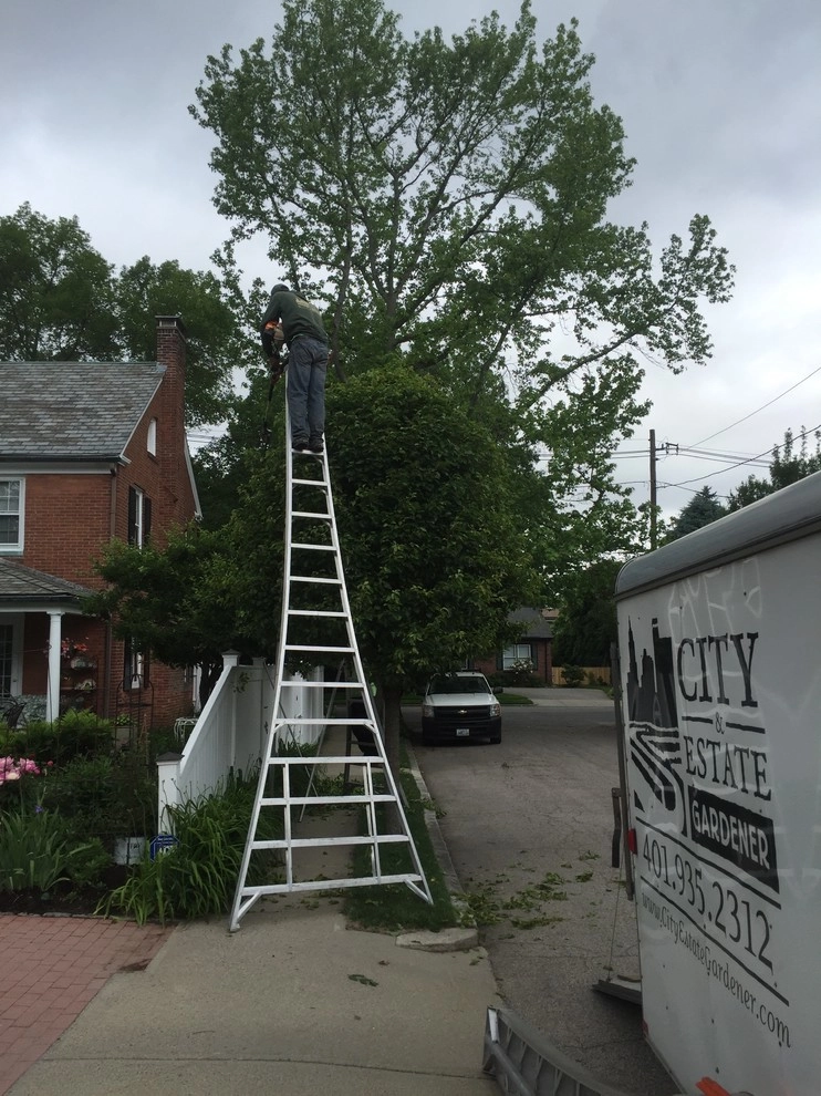 maintenance by City & Estate Gardener - Photo 12
