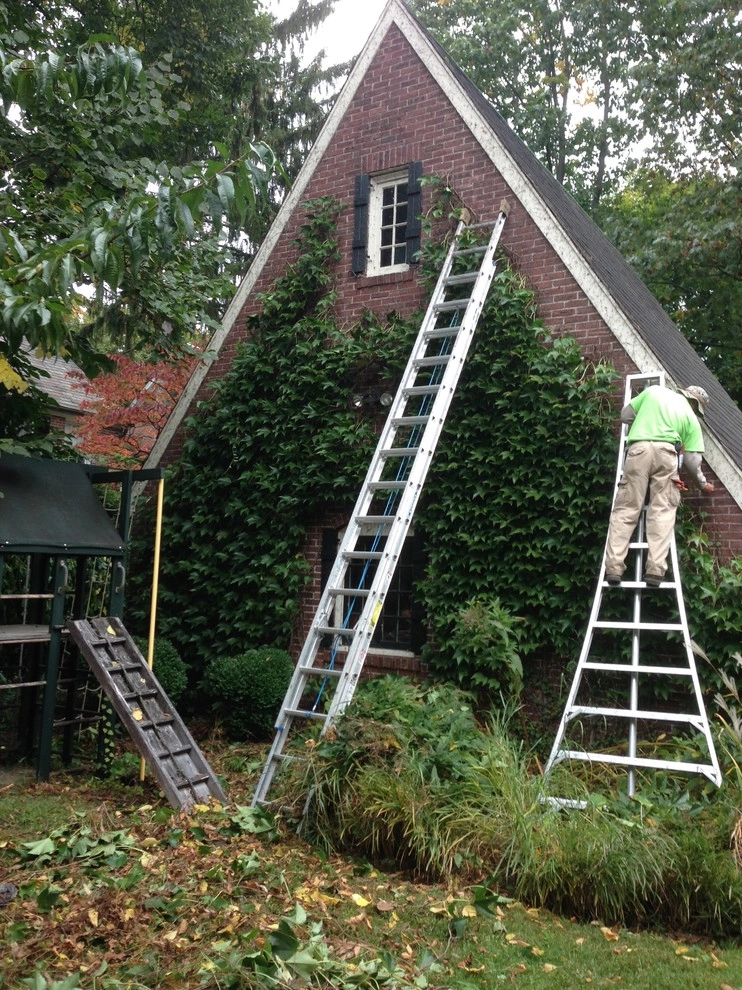 maintenance by City & Estate Gardener - Photo 11