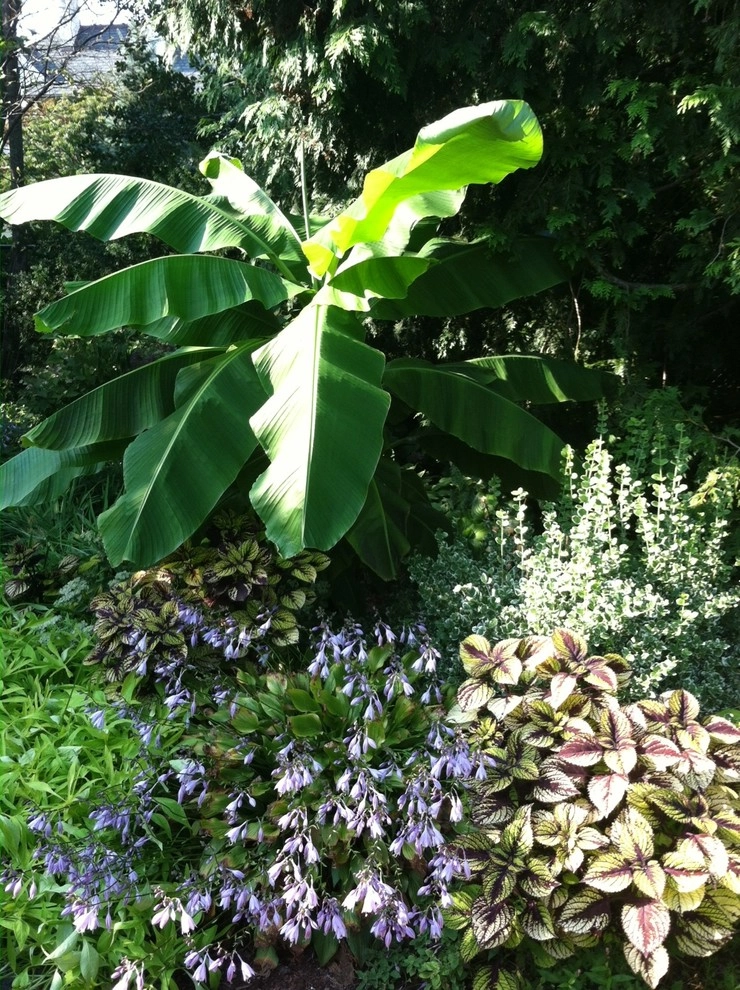 Seasonal Color by City & Estate Gardener - Photo 18