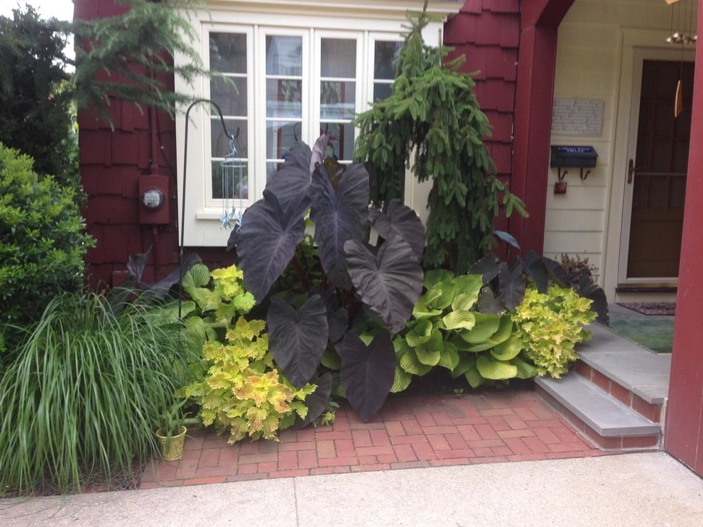 Seasonal Color by City & Estate Gardener - Photo 37