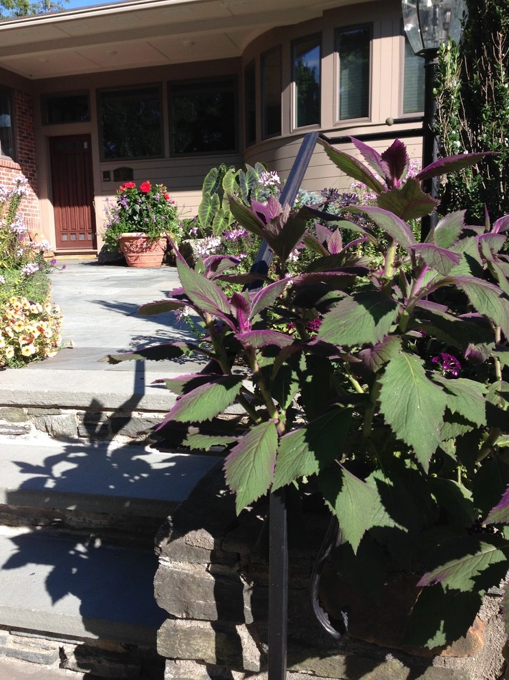 Seasonal Color by City & Estate Gardener - Photo 7