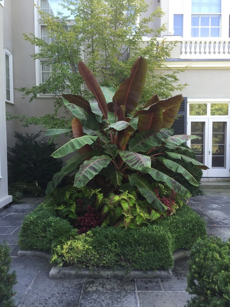 Seasonal Color by City & Estate Gardener - Photo 3