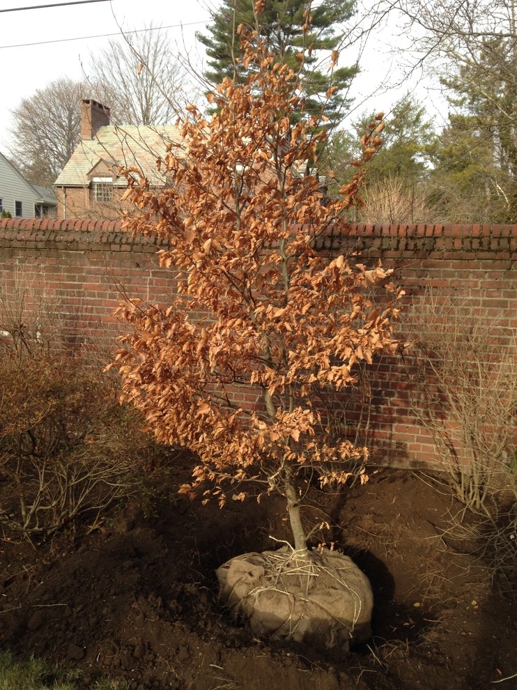 landscape construction by City & Estate Gardener - Photo 12