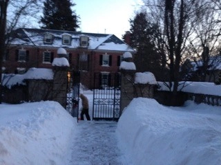 snow service by City & Estate Gardener - Photo 5