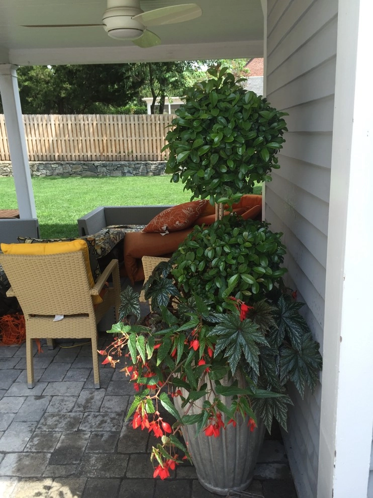 Container Gardens by City & Estate Gardener - Photo 31