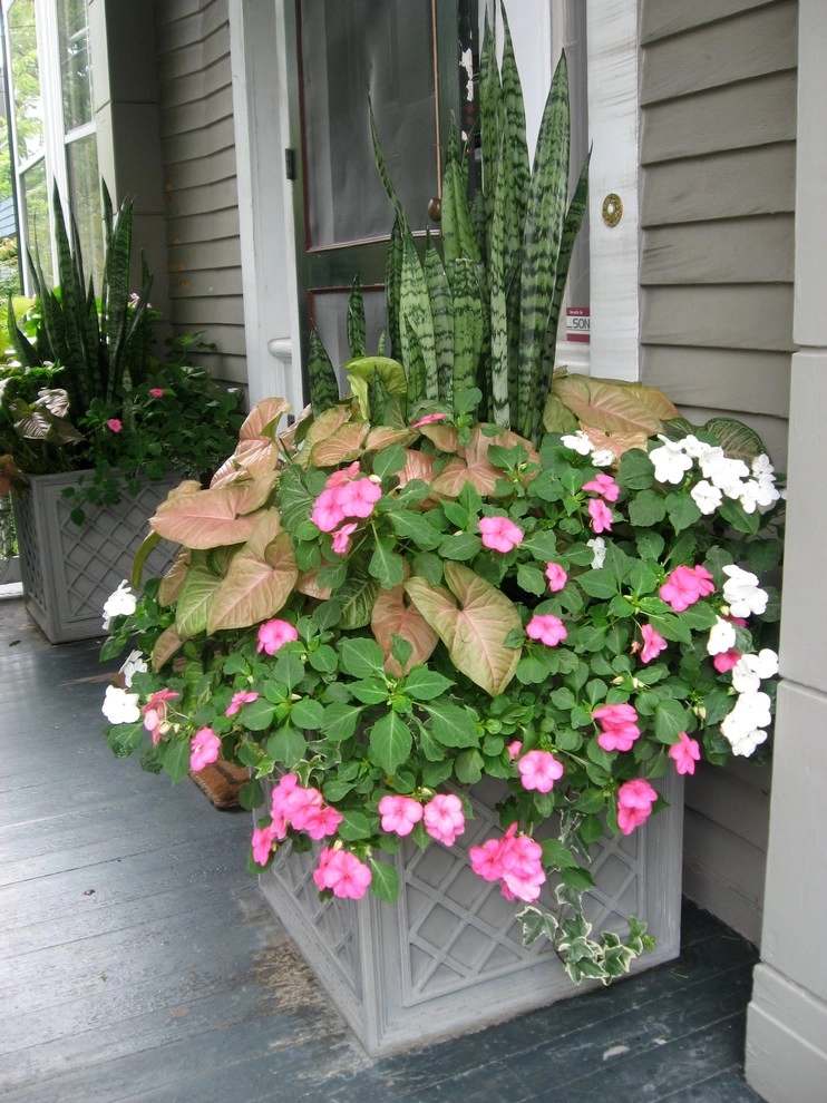 Container Gardens by City & Estate Gardener - Photo 17