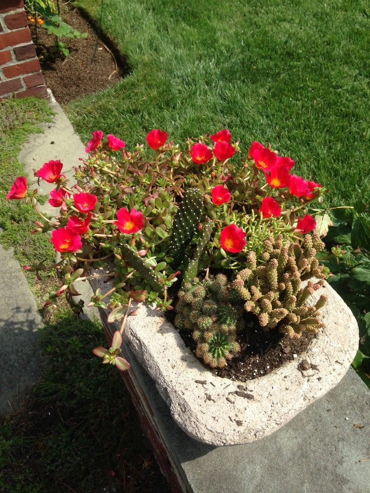 Container Gardens by City & Estate Gardener - Photo 3