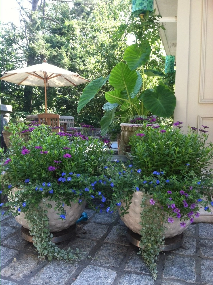 Container Gardens by City & Estate Gardener - Photo 9