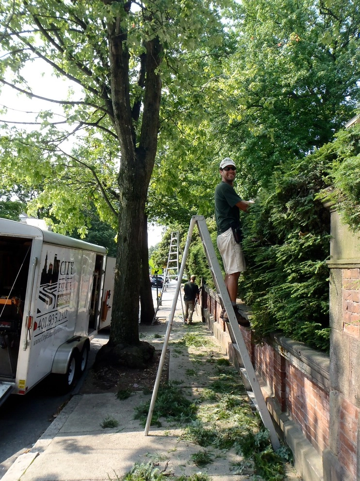 maintenance by City & Estate Gardener - Photo 14
