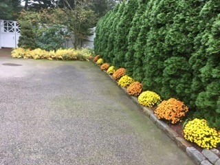Seasonal Color by City & Estate Gardener - Photo 43