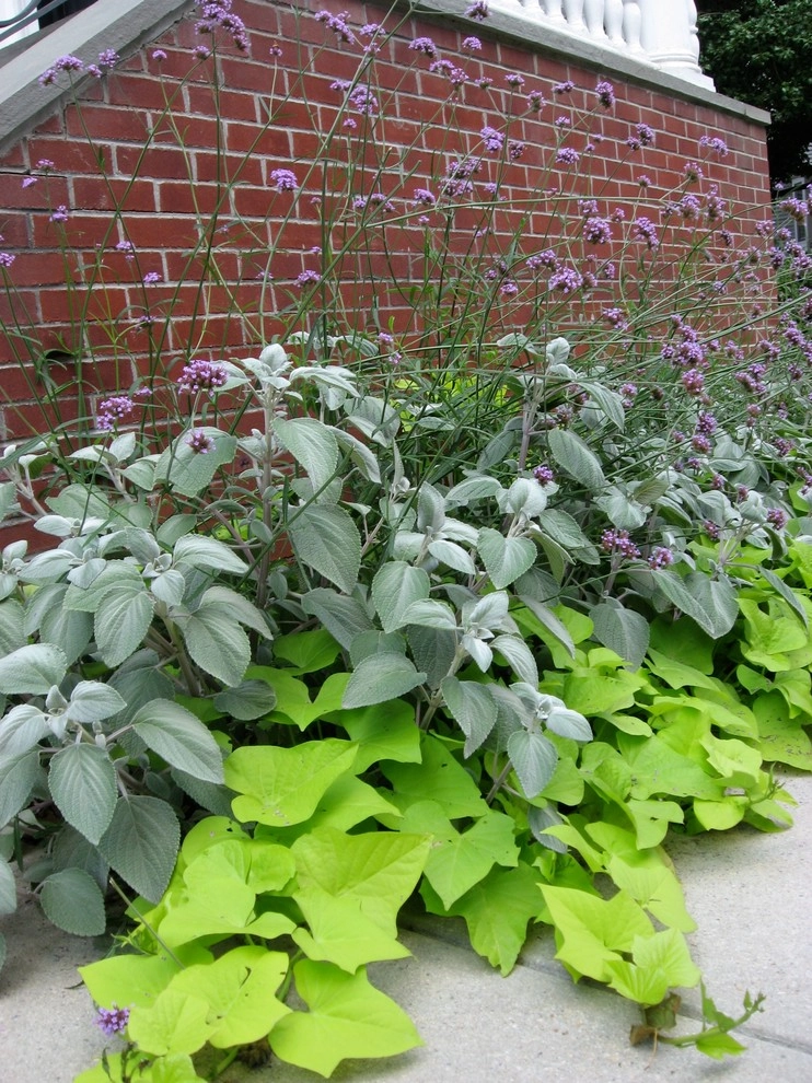 Seasonal Color by City & Estate Gardener - Photo 53