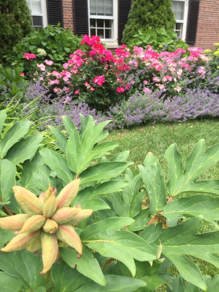 Seasonal Color by City & Estate Gardener - Photo 38