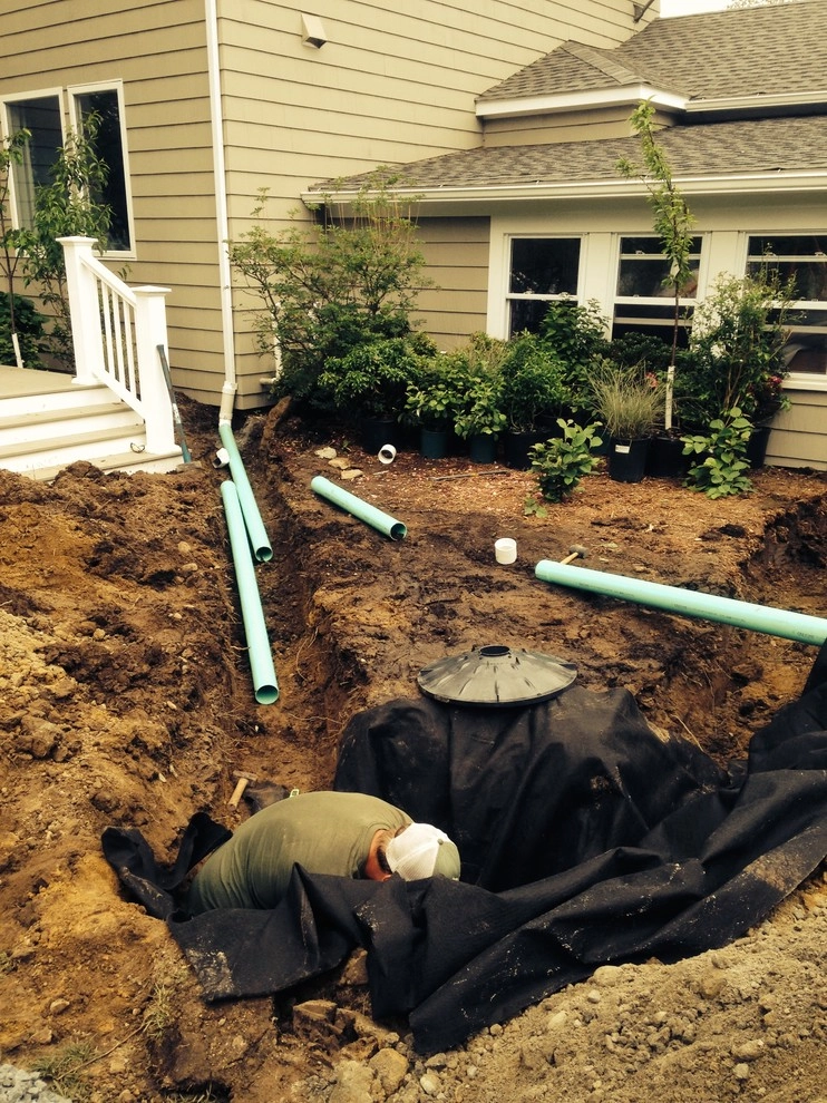 landscape construction by City & Estate Gardener - Photo 17