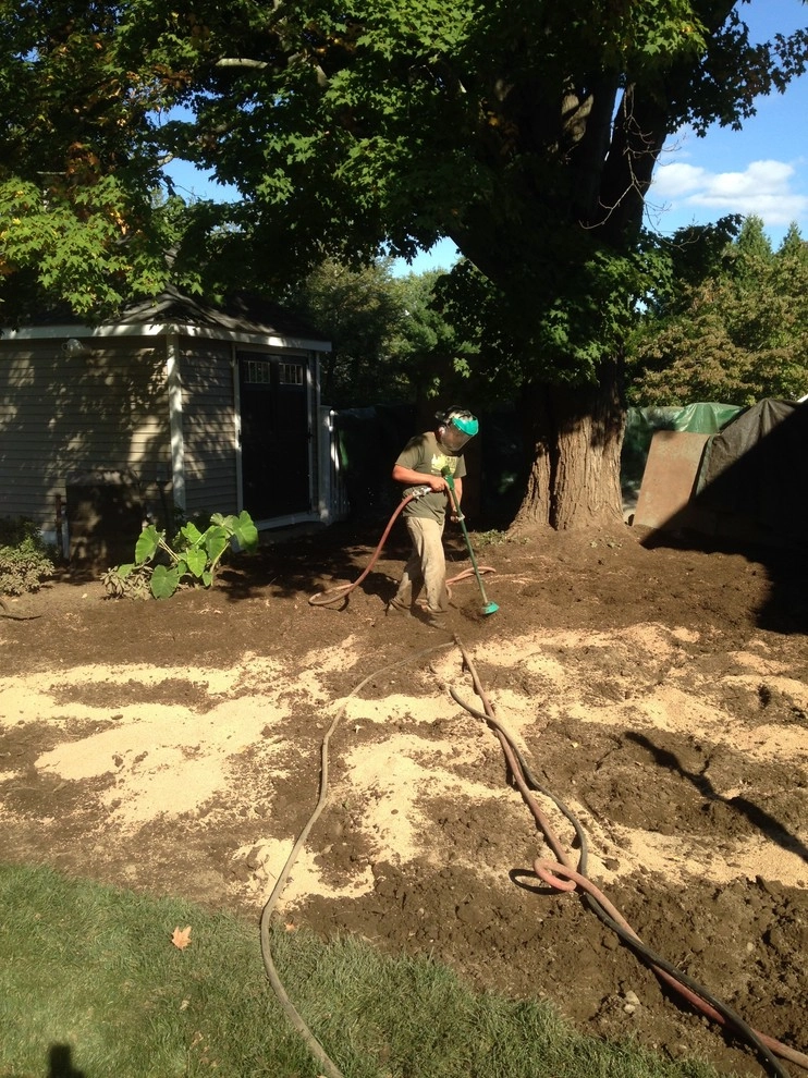 City & Estate Gardener - Photo 4