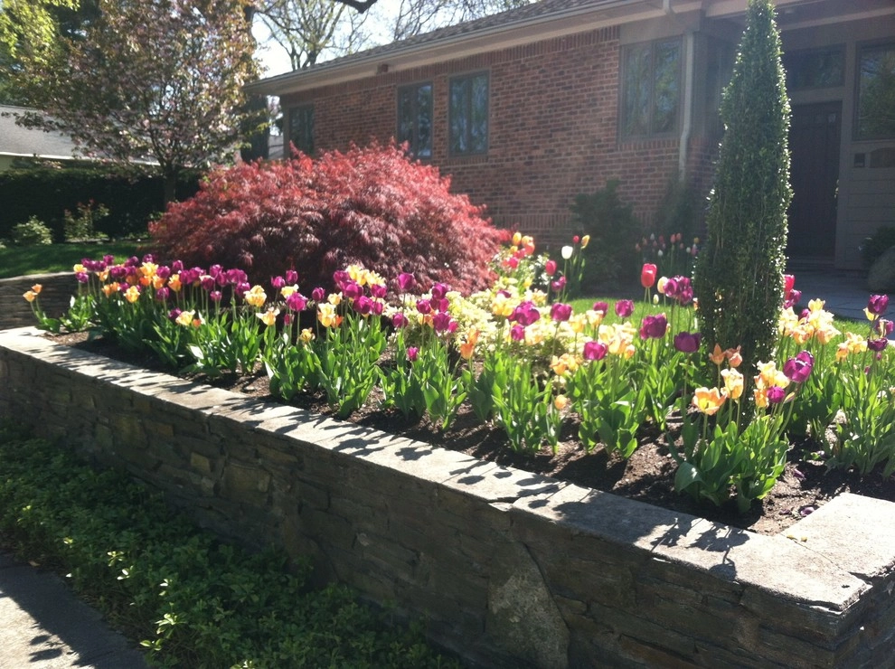 Spring Flowers by City & Estate Gardener - Photo 14