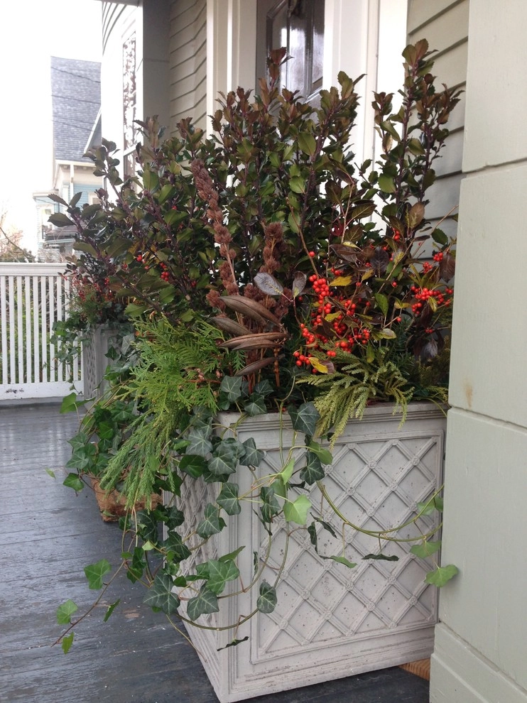 Container Gardens by City & Estate Gardener - Photo 30