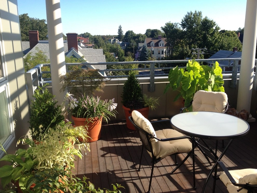 Container Gardens by City & Estate Gardener - Photo 10