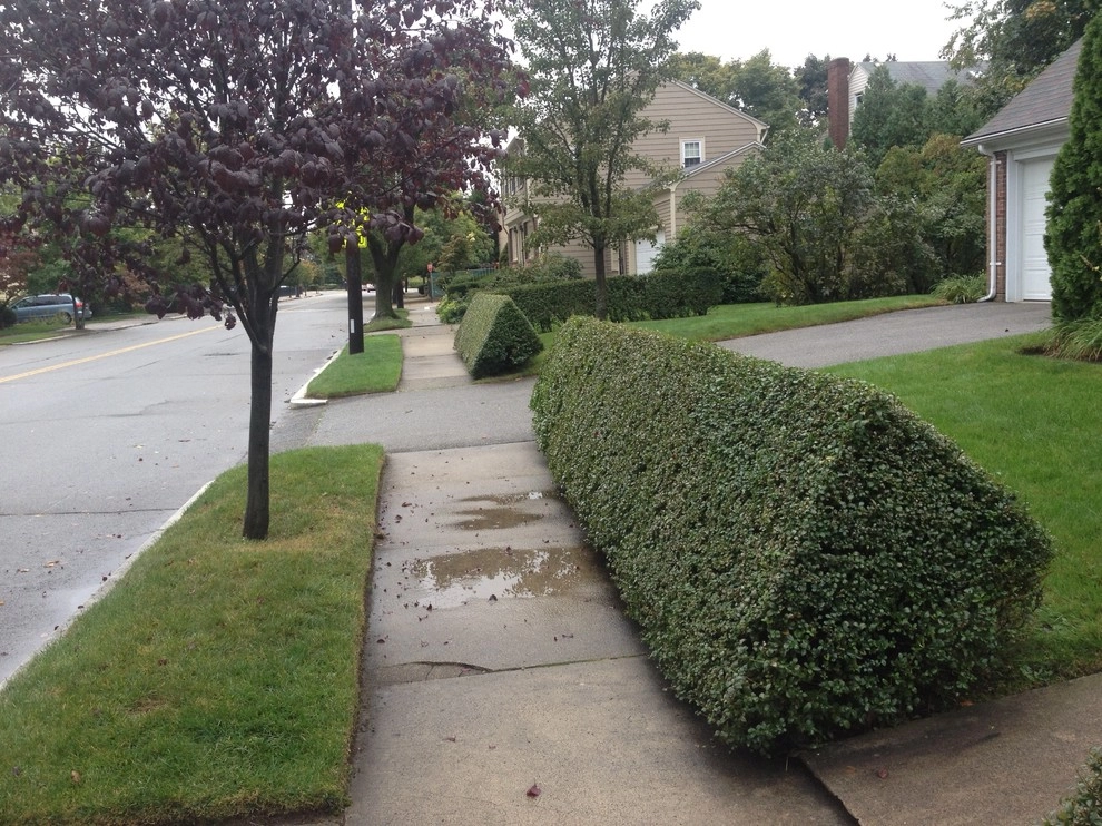 maintenance by City & Estate Gardener - Photo 7