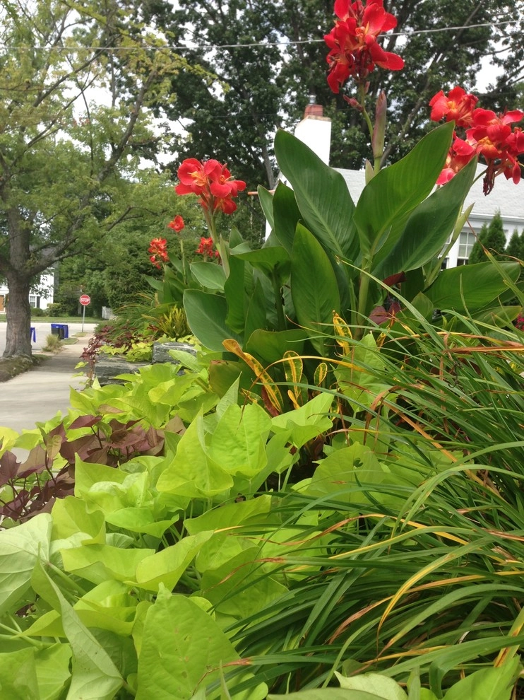 Seasonal Color by City & Estate Gardener - Photo 39