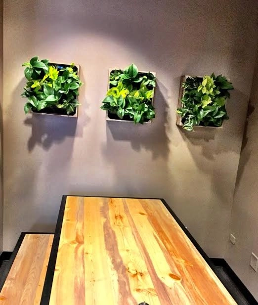 City Plantscaping, LLC - Photo 10