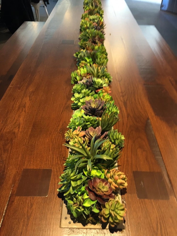 Succulent wall planters and succulent table by City Plantscaping, LLC - Photo 3