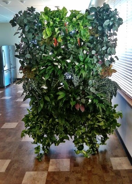 Residential Work by City Plantscaping, LLC - Photo 7