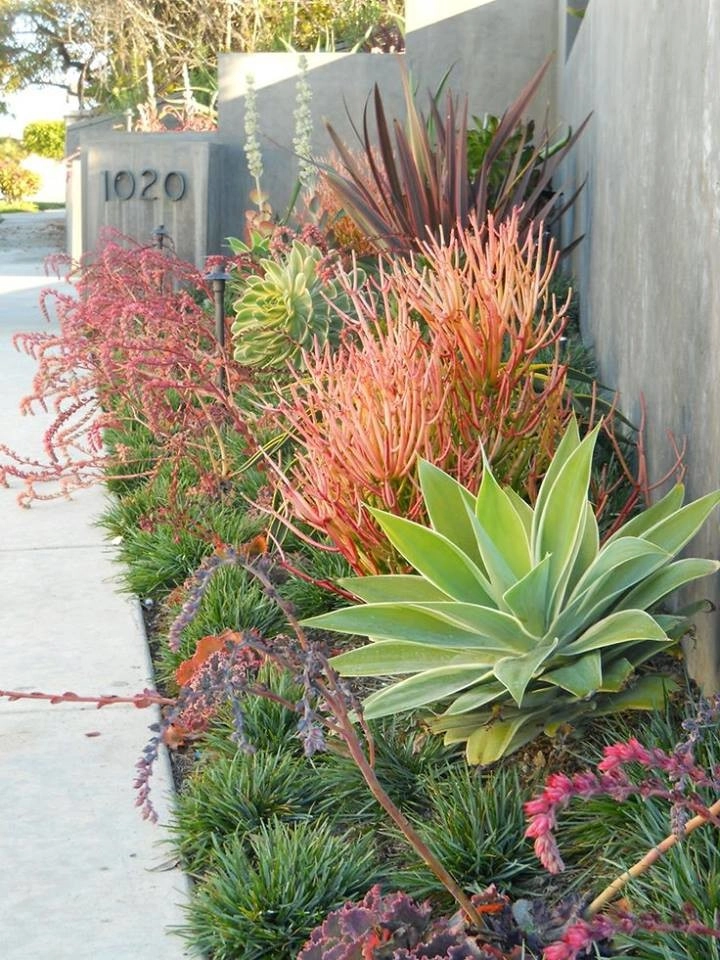 City Plantscaping, LLC - Photo 13