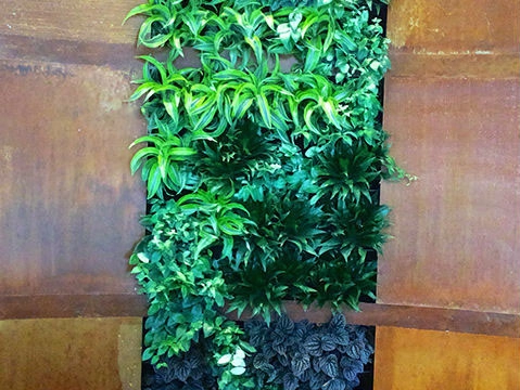 City Plantscaping, LLC - Photo 9