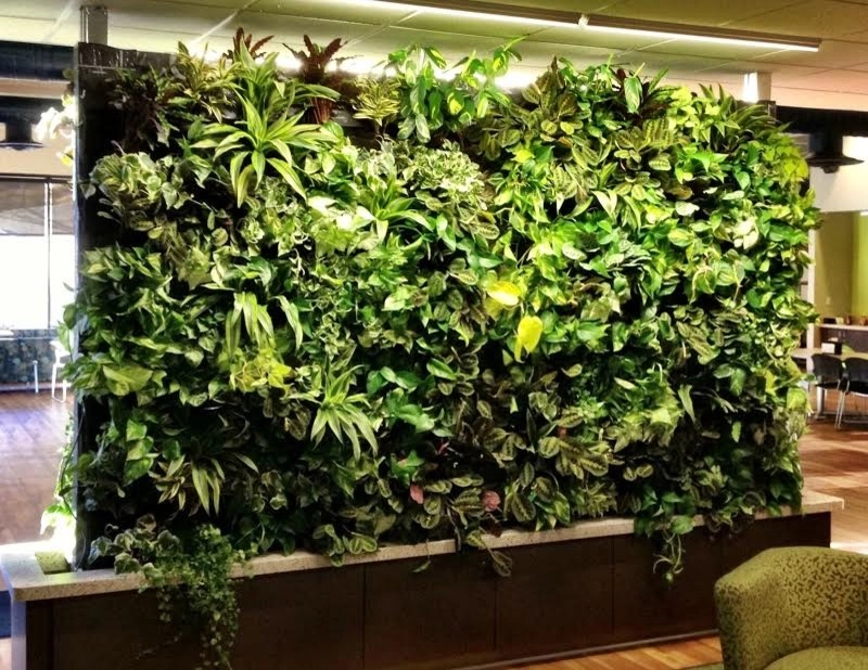 City Plantscaping, LLC - Photo 8