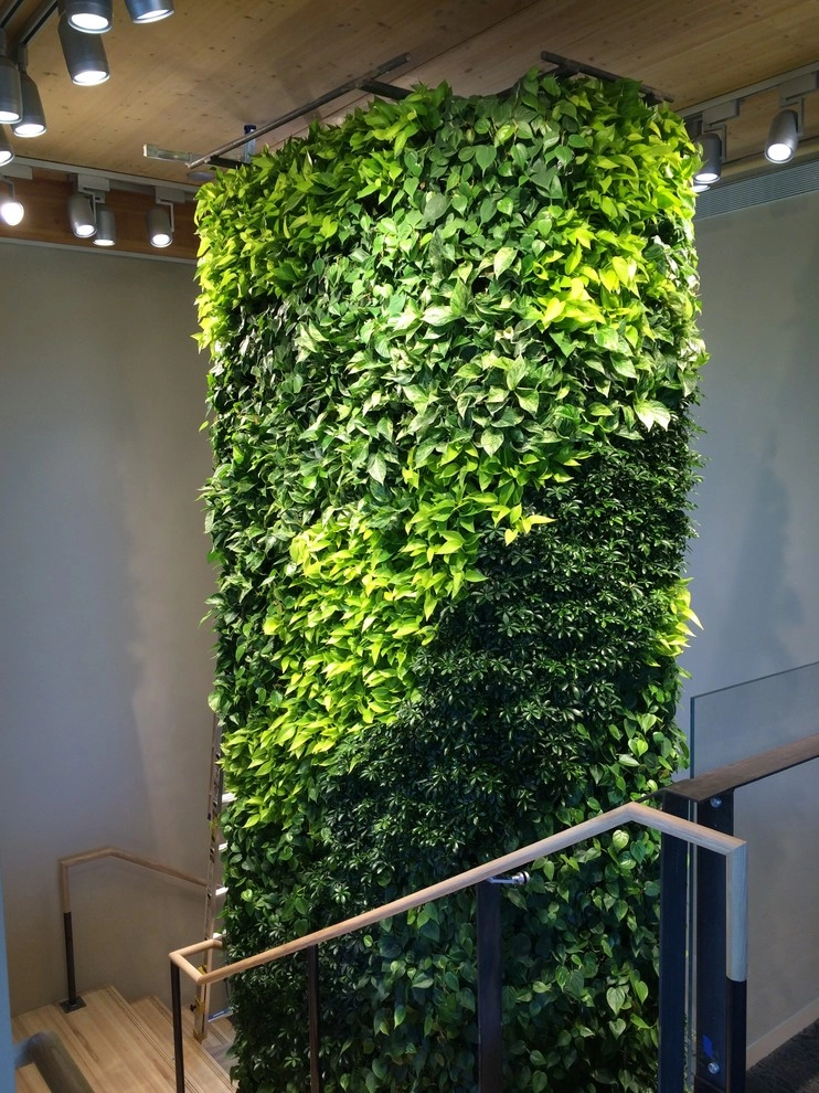 Fort Collins Green Living Wall by City Plantscaping, LLC - Photo 2
