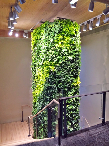City Plantscaping, LLC - Photo 3