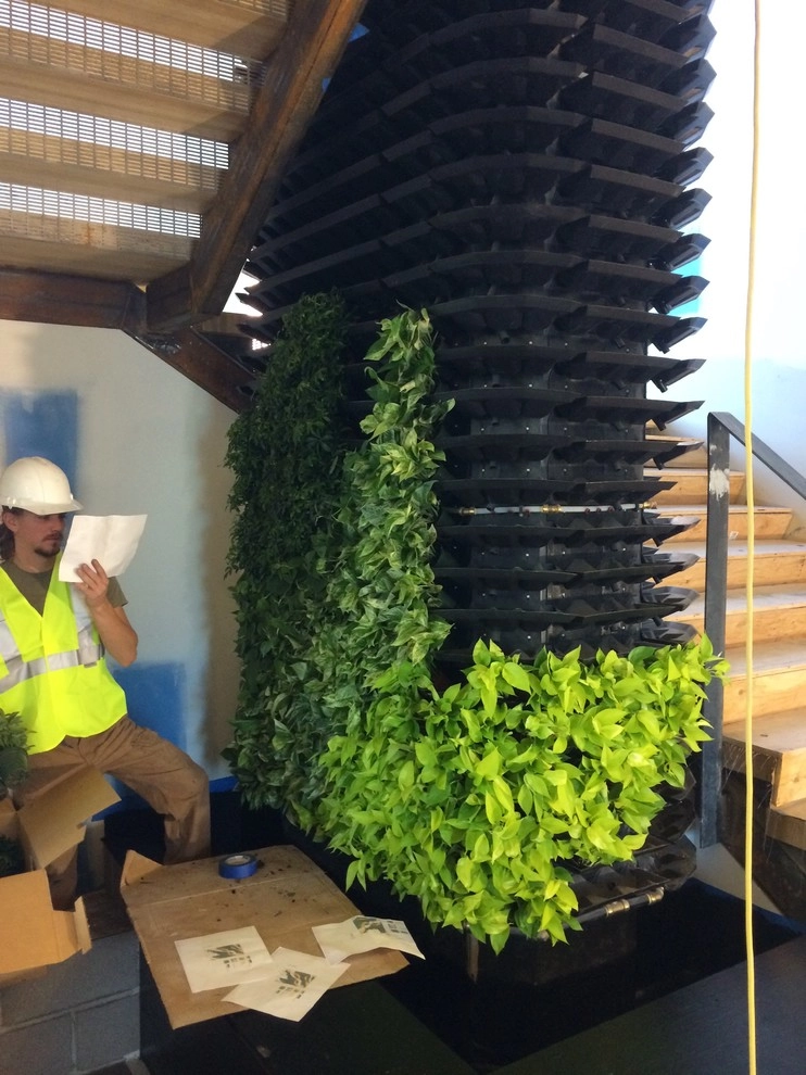 Fort Collins Green Living Wall by City Plantscaping, LLC - Photo 3