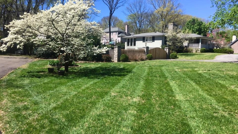 Clanton's Lawncare - Photo 2
